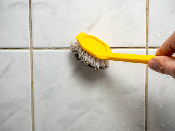Best Local Mold Removal Service  in Carlyss, LA