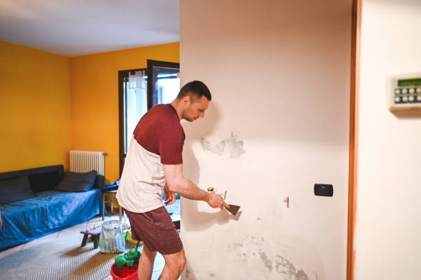 Carlyss, LA Mold Removal Company